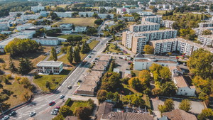 Traitement punaises de lit Annemasse